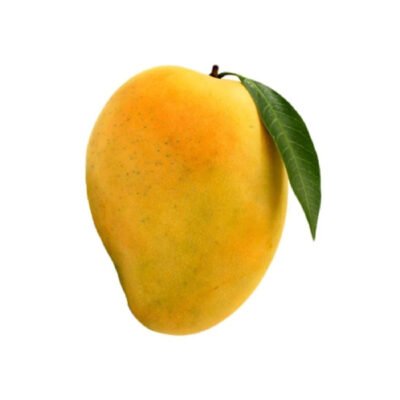 Fresh Mango – Juicy, Sweet & Nutrient-Rich Tropical Fruit