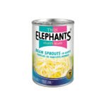Twin Elephants Extra Bean Sprouts – Fresh & Crisp Quality Bean Sprouts for Cooking