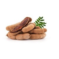 Fresh Tamarind – Natural, Tangy & Nutritious Fruit